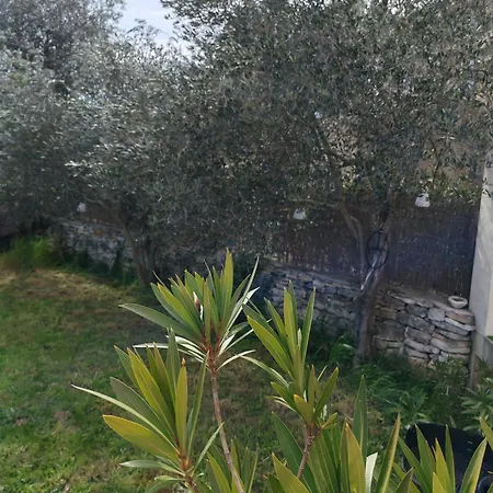 La Picholine_bourg Saint Andeol *